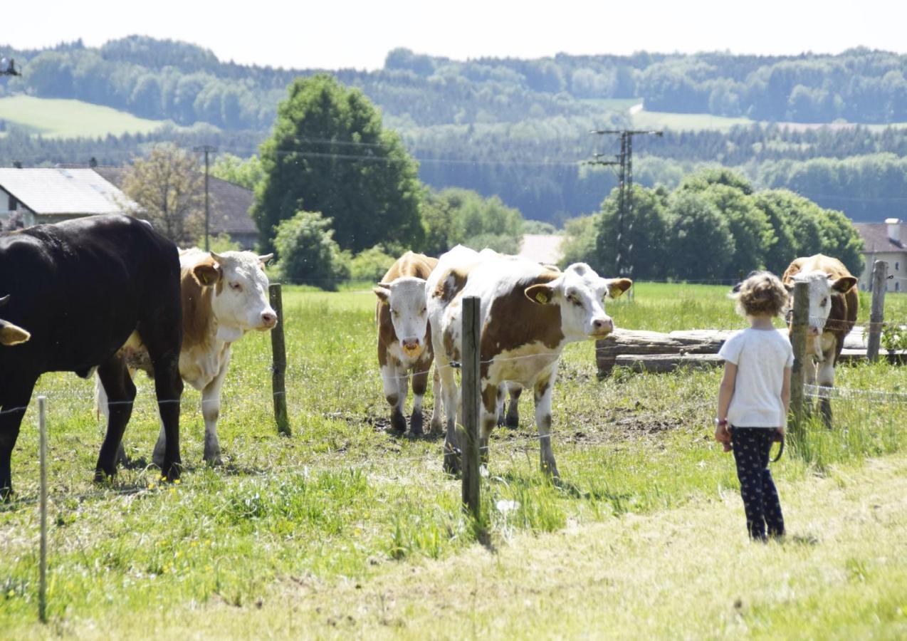 Ferienhof Forstmoar Gars Bagian luar foto